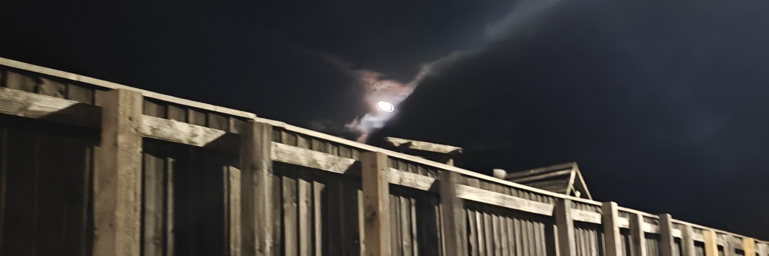 jess banner