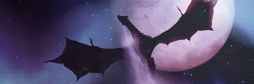 fearlxsswarrior's profile banner image