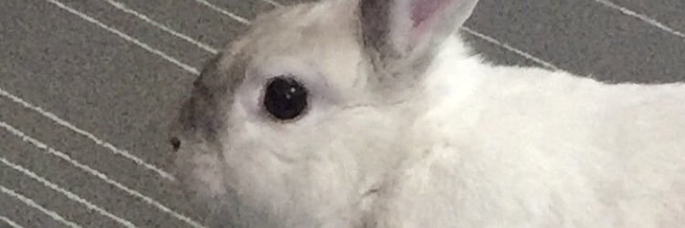 NikishaGordhan7's profile banner image