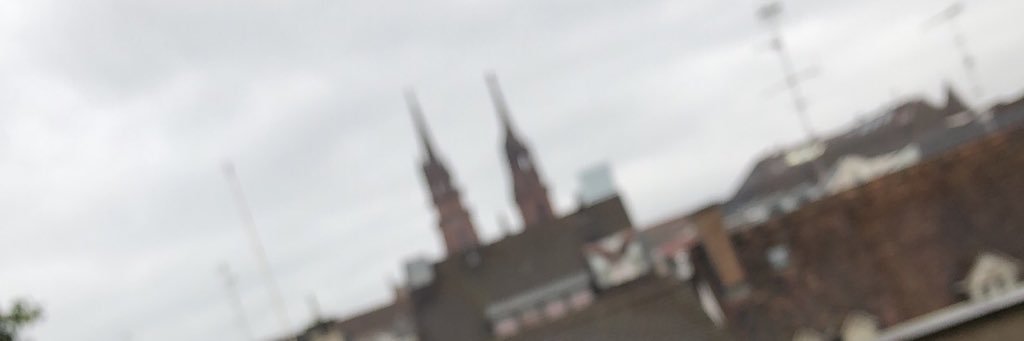 Nils Feigenwinter banner