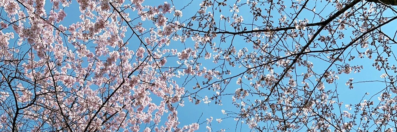 Ciknaa_SC's profile banner image