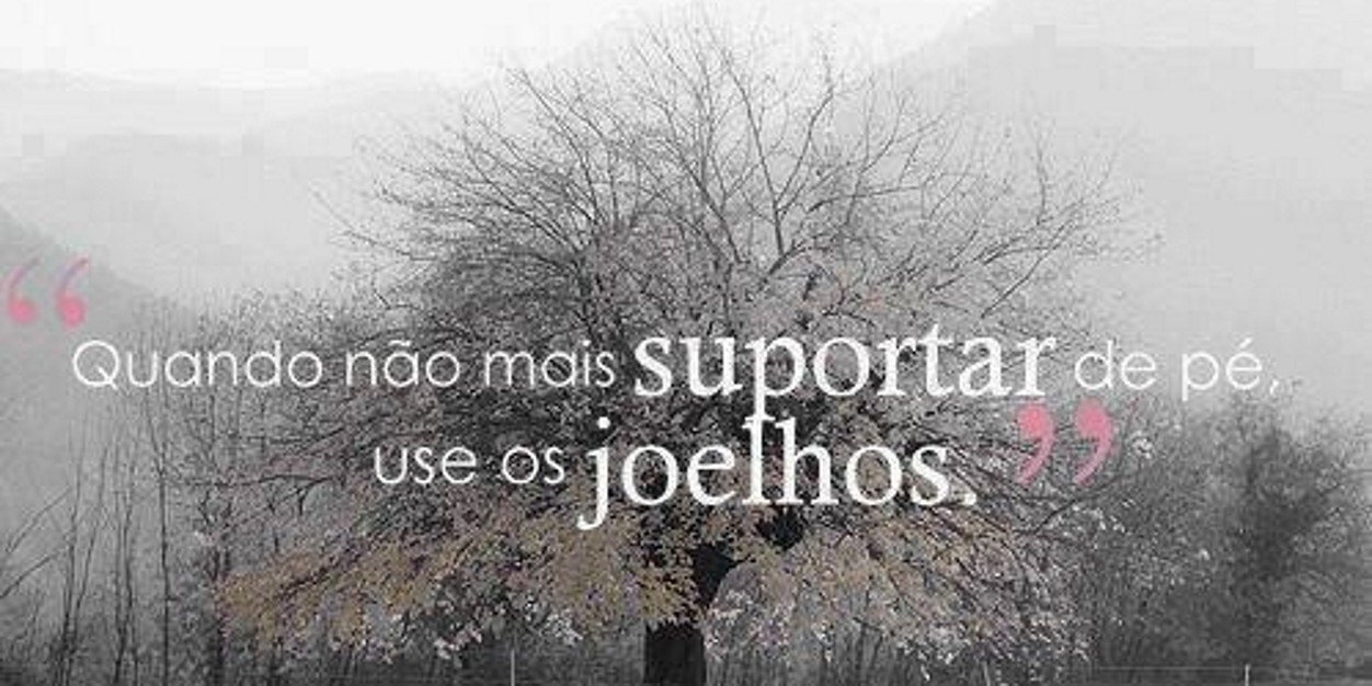 JaquelineBofim's profile banner image
