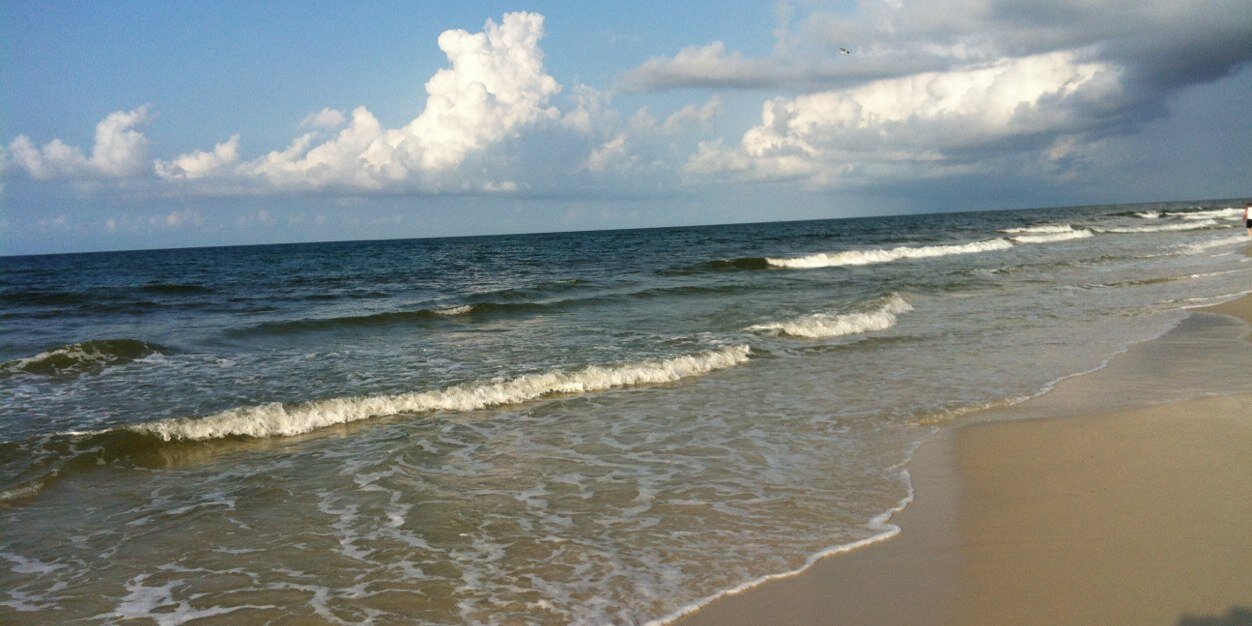 charity lovell banner