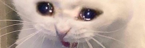 soysori Profile Banner