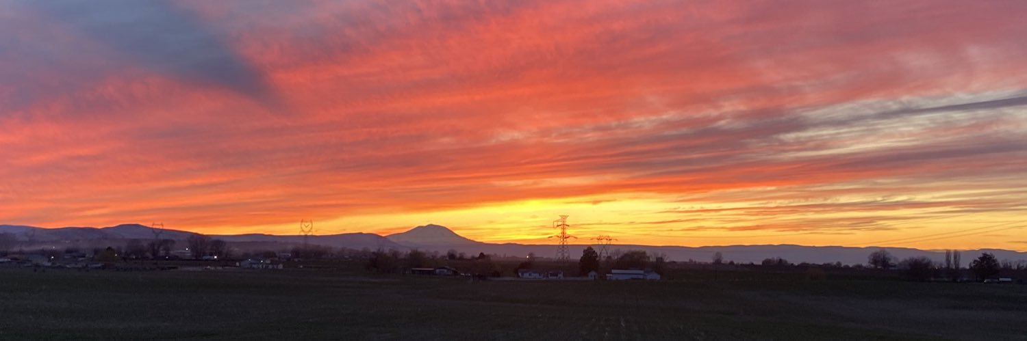 Shannon Hansen banner