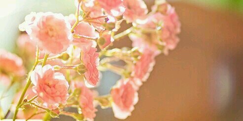 AlKwari_F's profile banner image