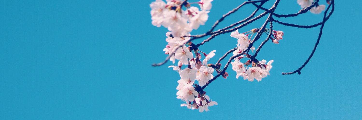 midoR_8's profile banner image