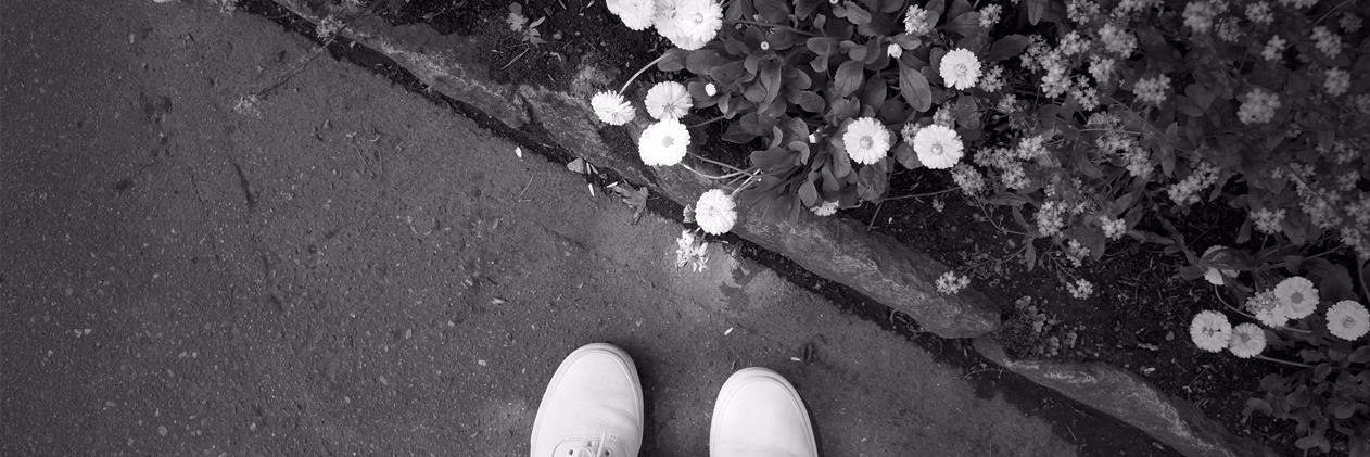 _themodestones's profile banner image