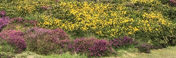 cleator Profile Banner