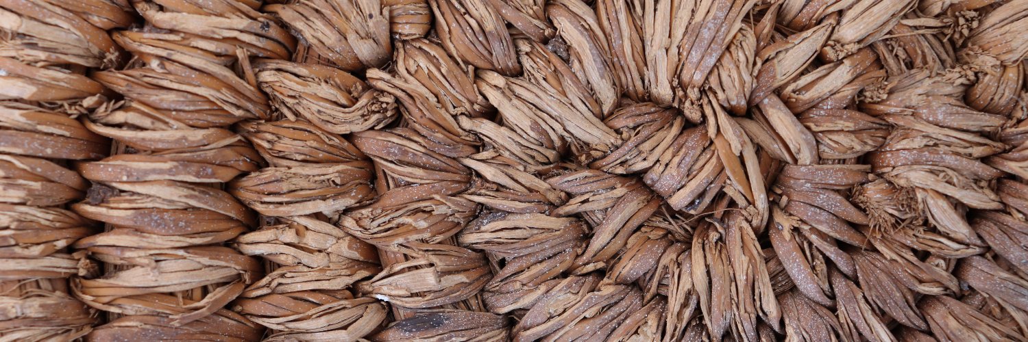 Maria Herrero-Otal banner