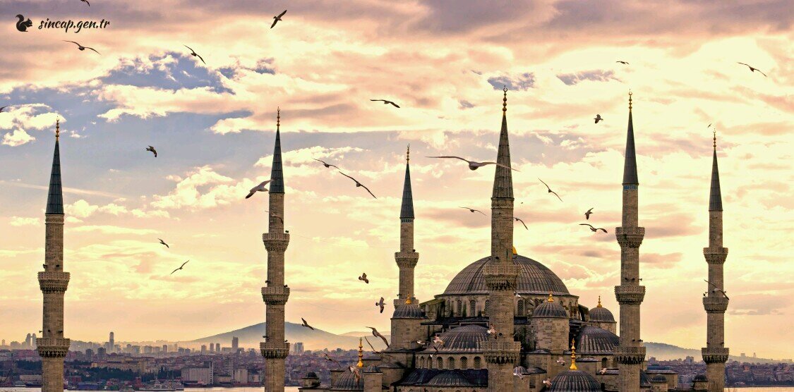 gececeierol's profile banner image