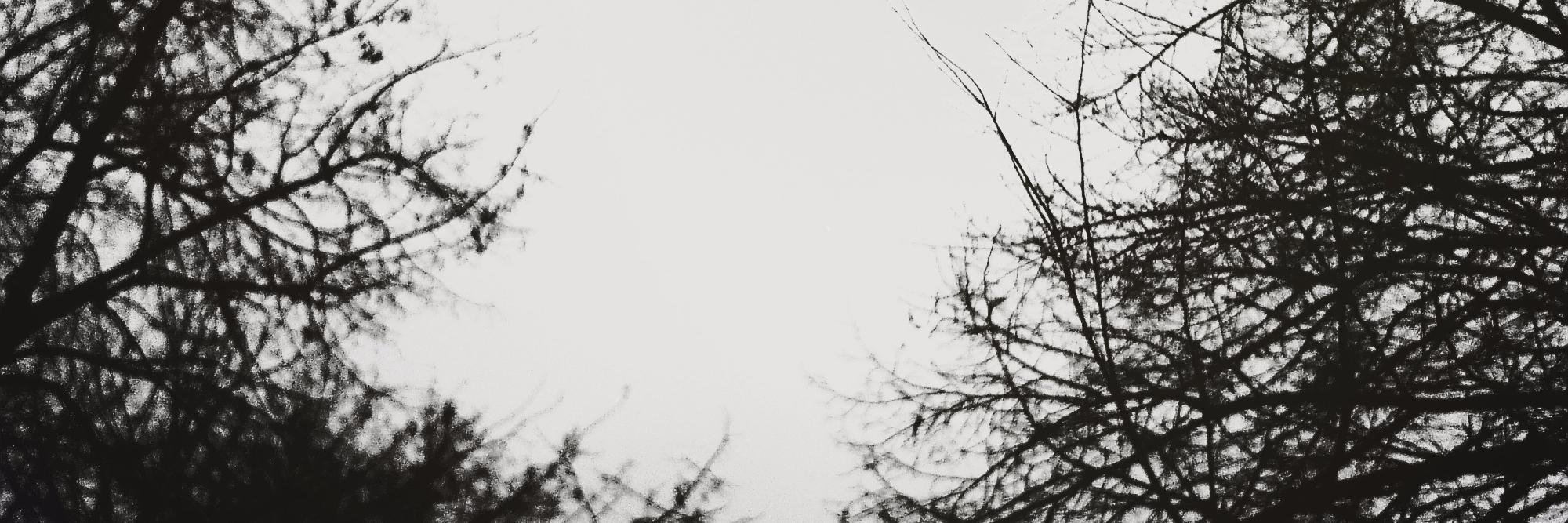 lump_of_evil_'s profile banner image