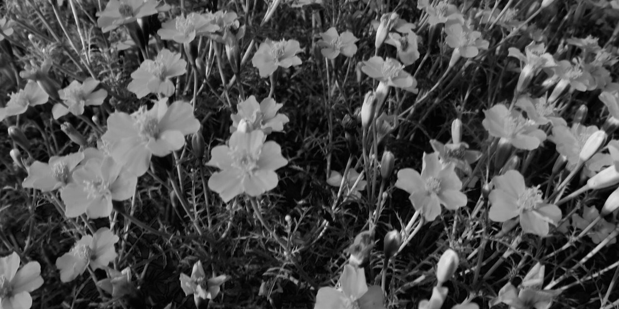Ellen_mayy's profile banner image