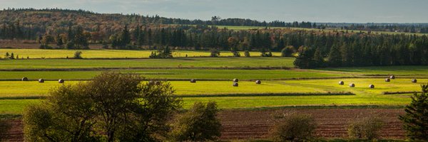 FCCagriculture Profile Banner