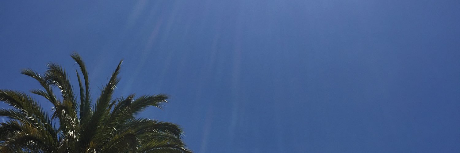 rixster295's profile banner image