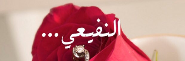 النفيعي ~~~ banner