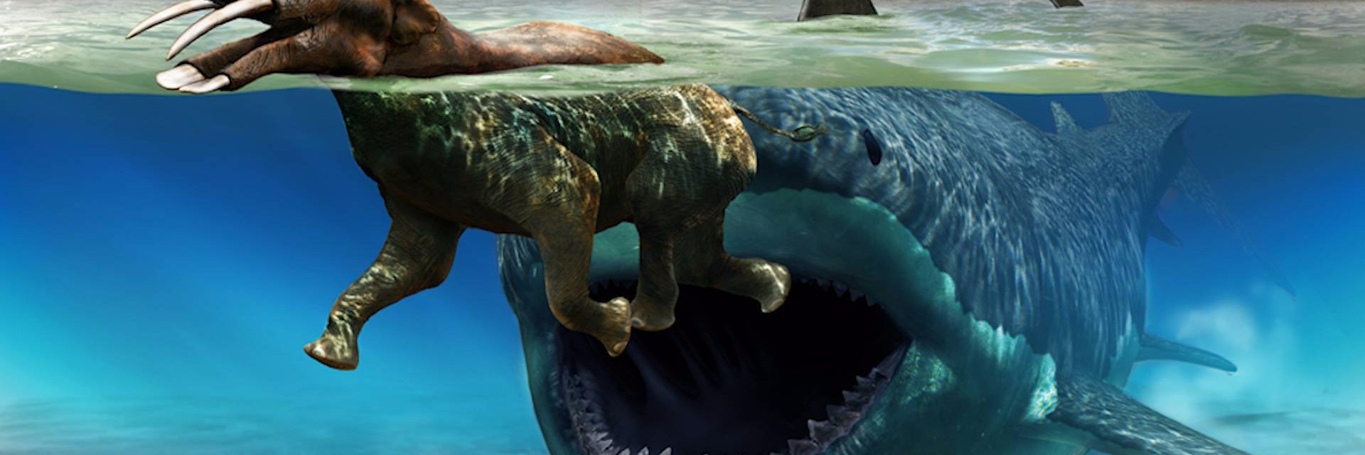 Здесь живём banner