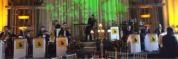 AvromyOnkeys Profile Banner