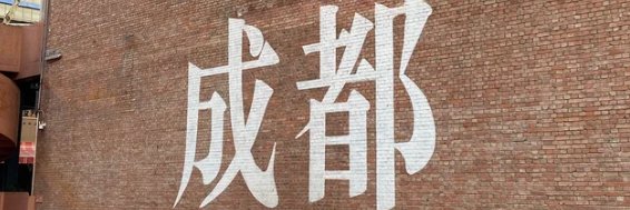 NOELMA147's profile banner image