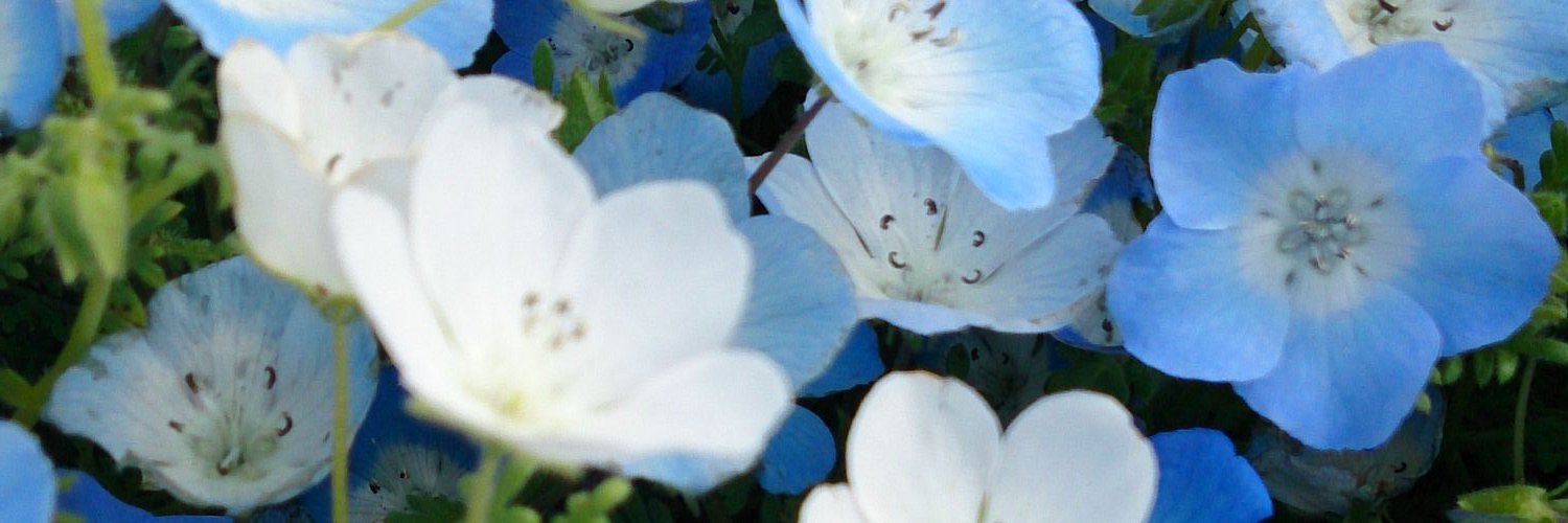 ao1magic's profile banner image