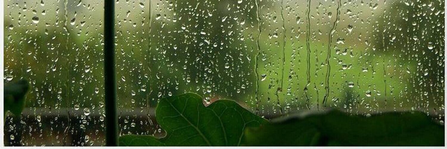 erva_777's profile banner image