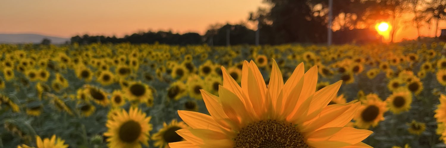 её звали Никита banner