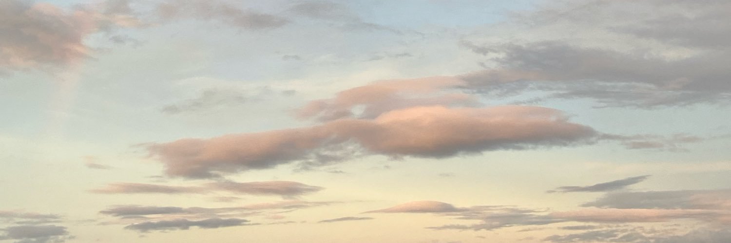 lemooonadeeeeee's profile banner image