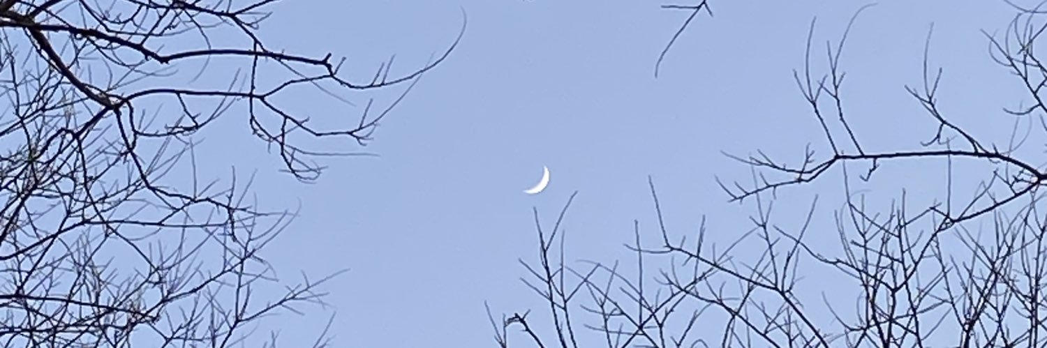 luna_drz's profile banner image