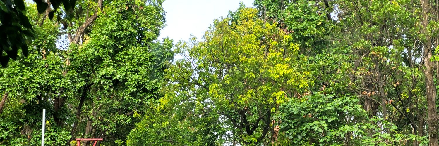 Rohit Srivastava banner