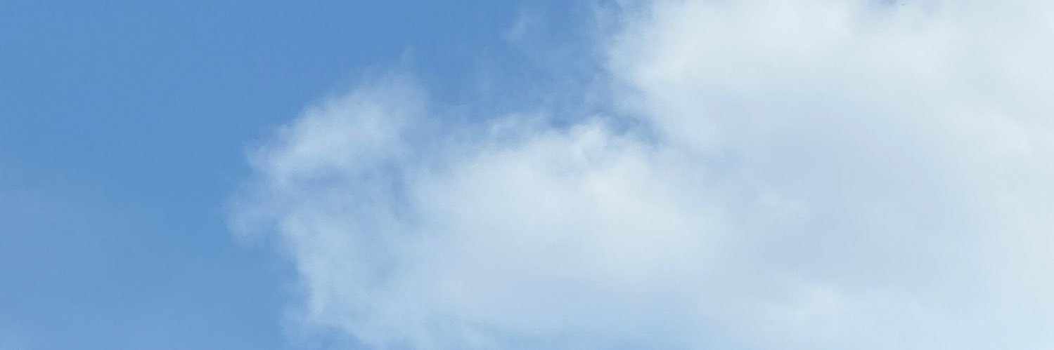 𝑴𝒂𝒓𝒚 banner