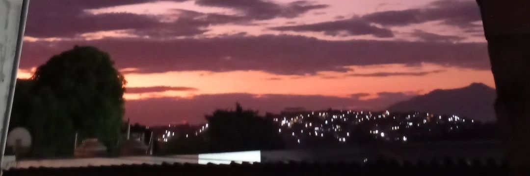 hibisco croches banner