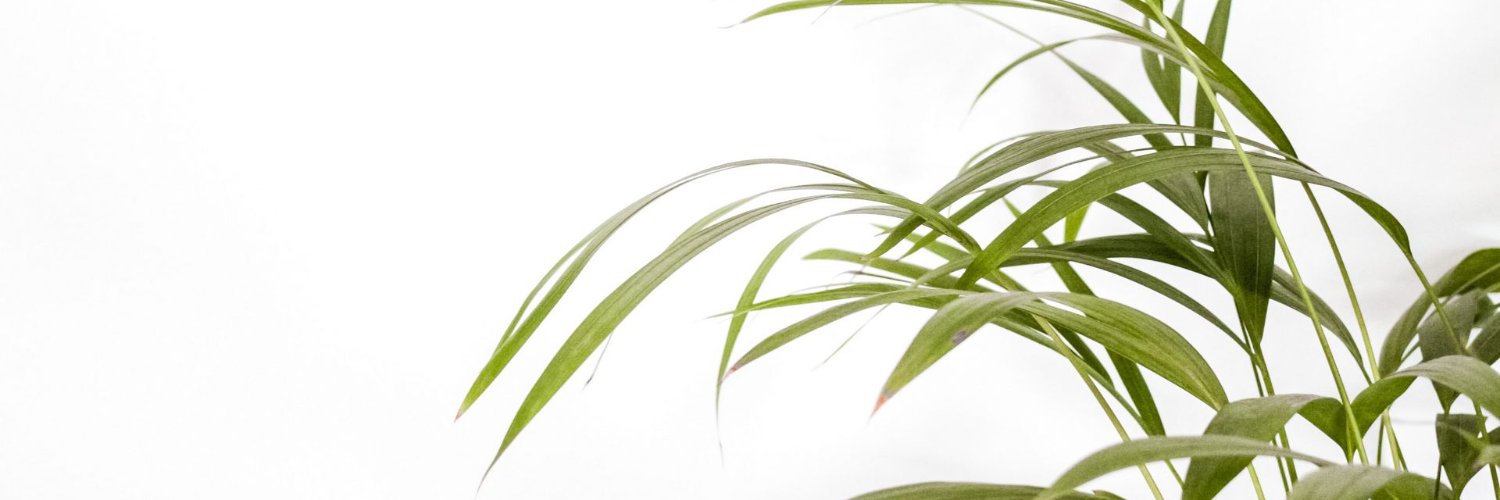 krista_hey's profile banner image
