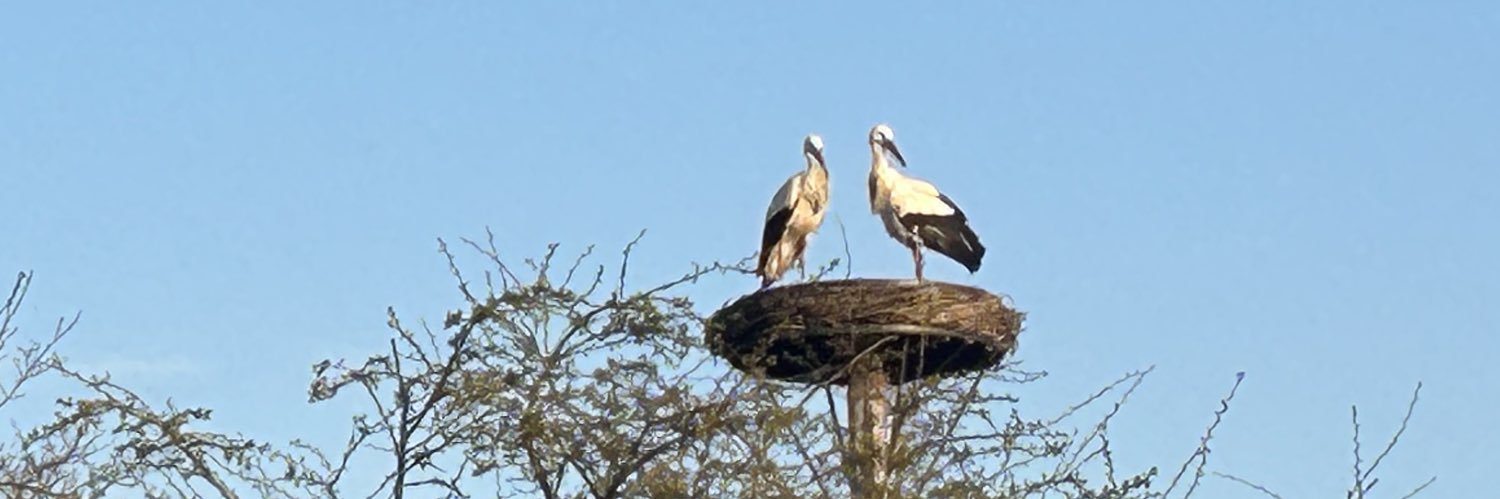 Regio Purmerend banner