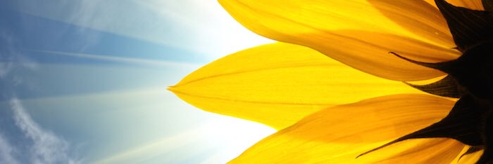 Meg_Ortiz's profile banner image