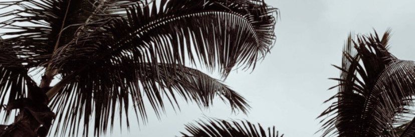 JuuliaJansson's profile banner image