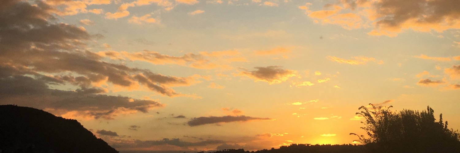 _tori4's profile banner image
