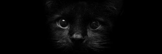 Nazeem_Zane's profile banner image