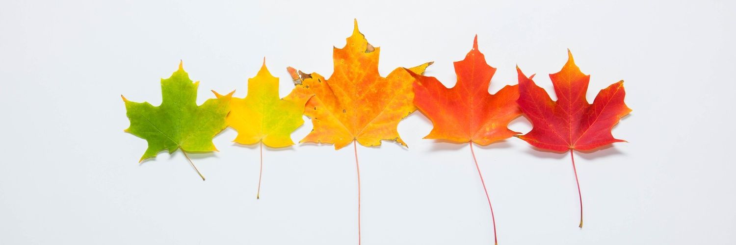 divi8866's profile banner image