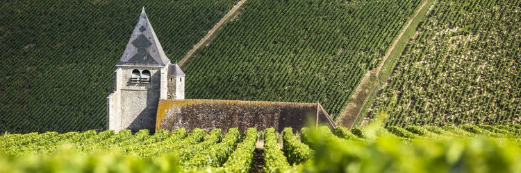 Alban_Hardy's profile banner image
