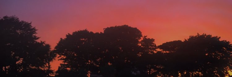 morgasms_'s profile banner image