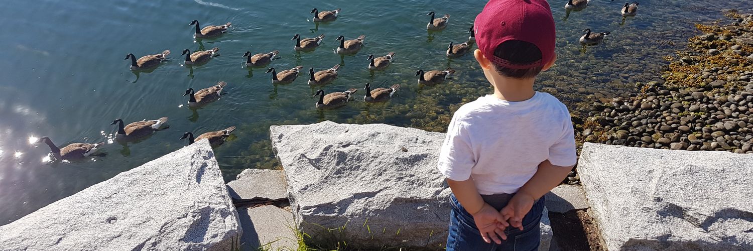 Cybernip's profile banner image