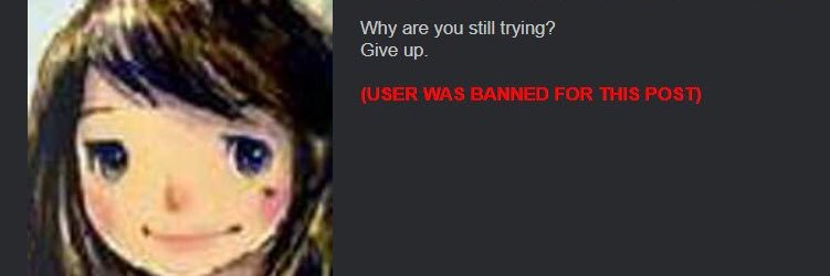 niko banner