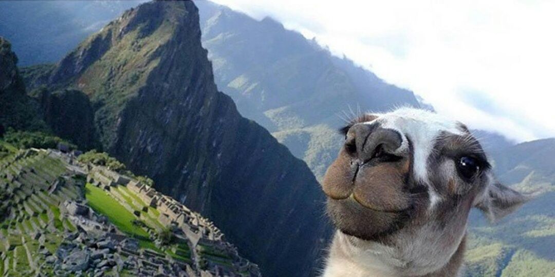 thatkidrodri's profile banner image