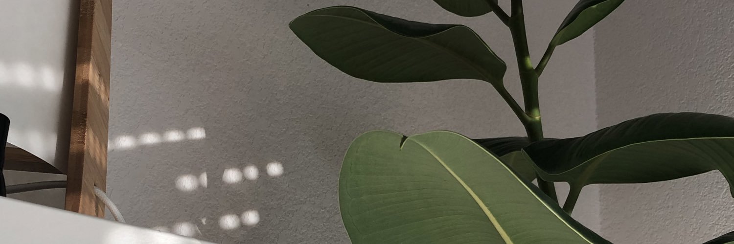_bbangbang's profile banner image