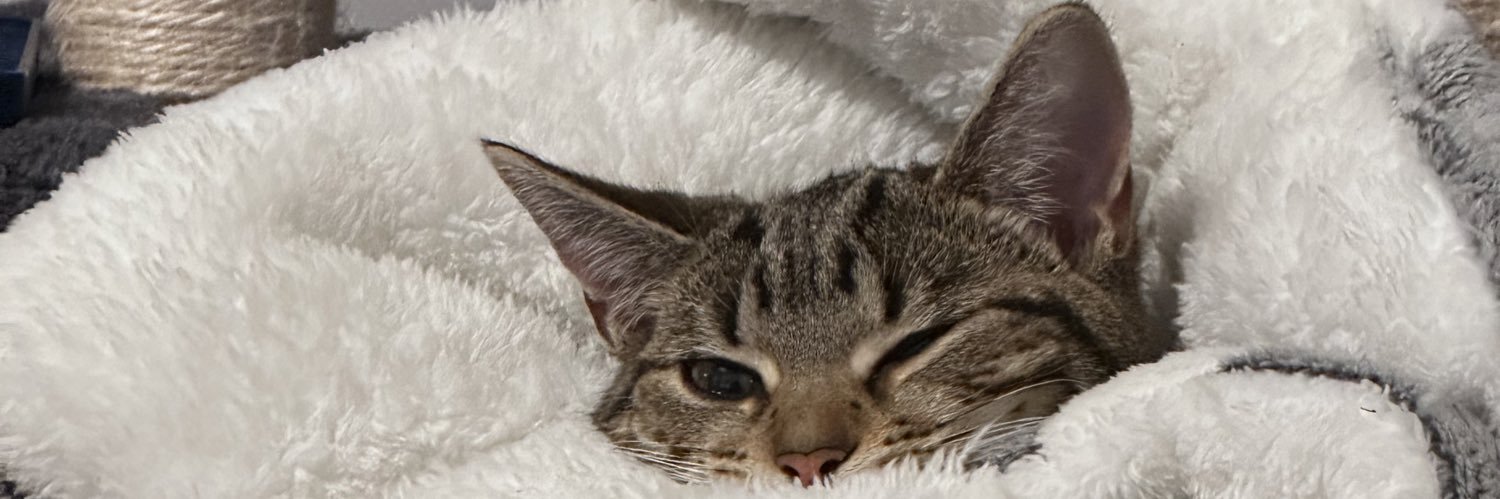 Zawid_'s profile banner image