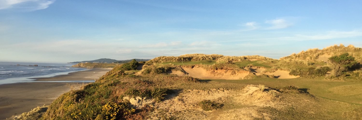 DrTeethGolf's profile banner image