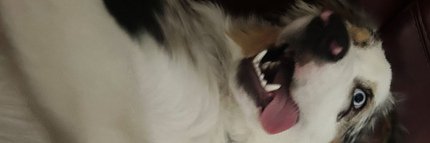 Yoel Carrillo banner