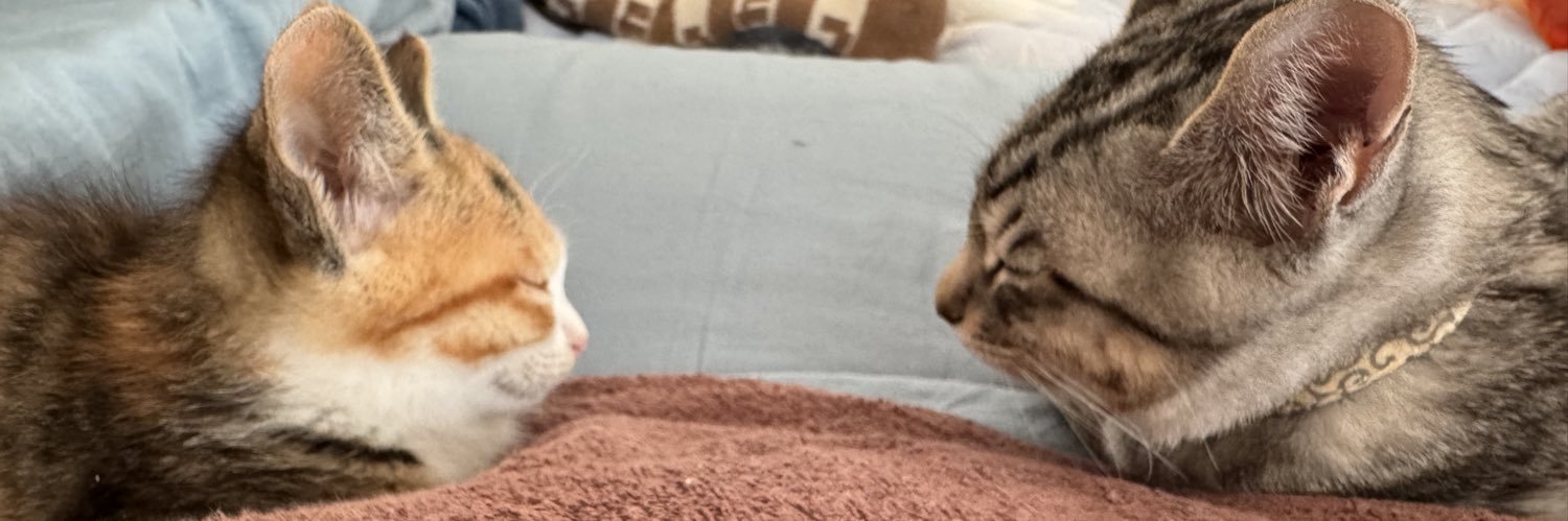 すがさん家（ねずみマスター・K） banner