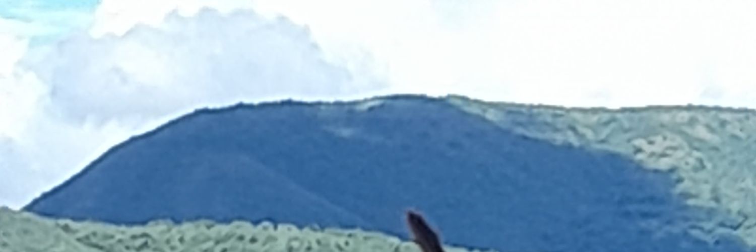 Felipe Pérez Hernández banner