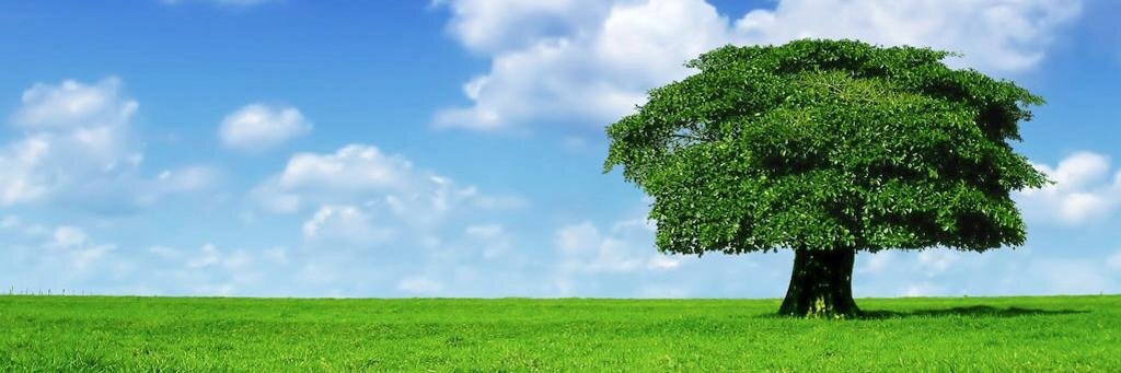 MyRecoveryWeb's profile banner image
